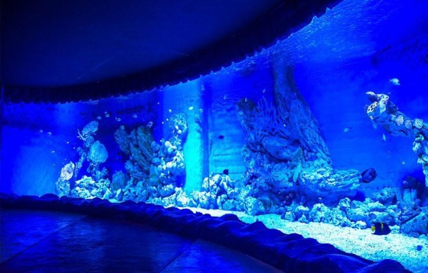 Grand Aquarium