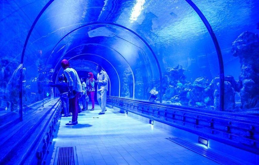 Grand Aquarium