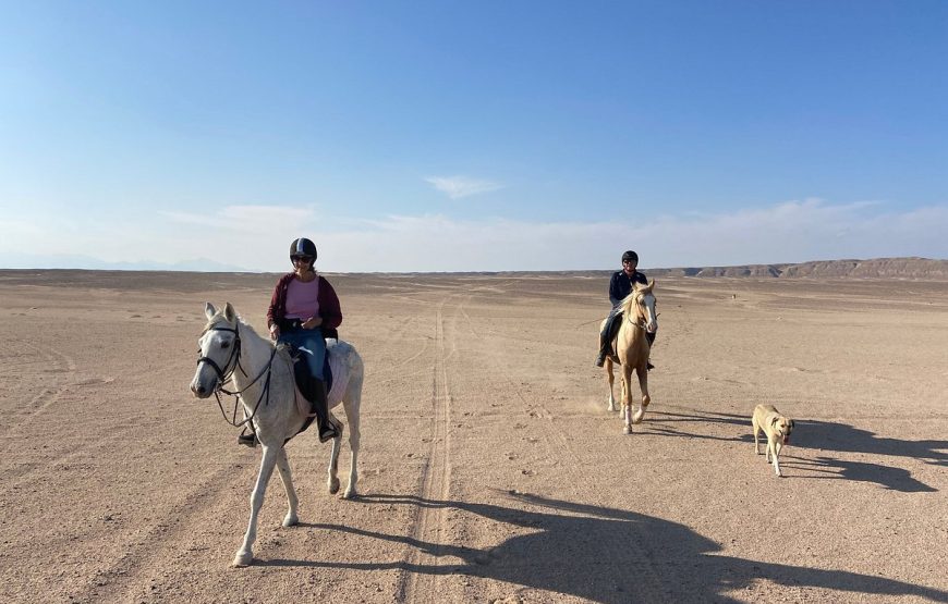 Horse Riding