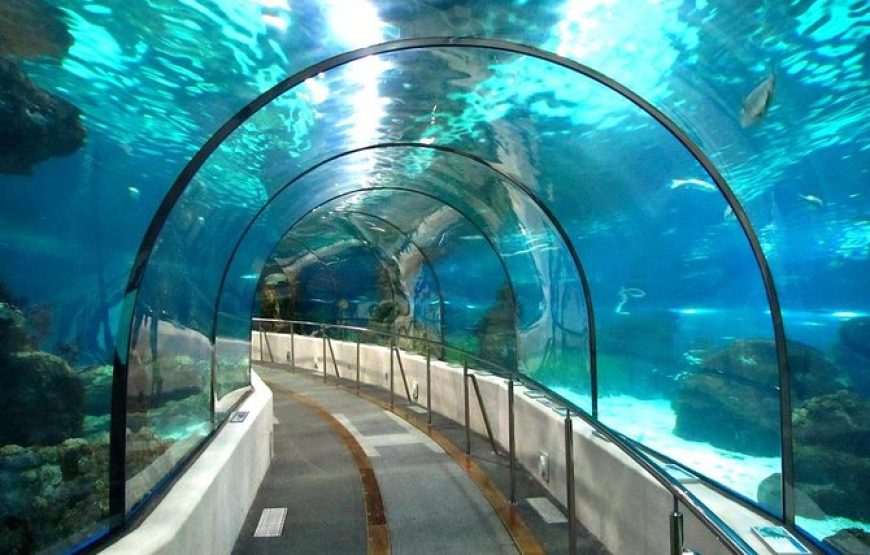 Grand Aquarium